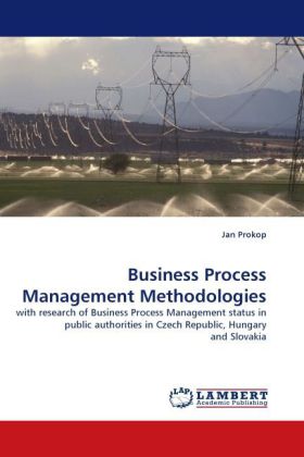 Business Process Management Methodologies
