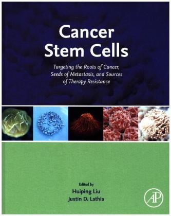 Cancer Stem Cells
