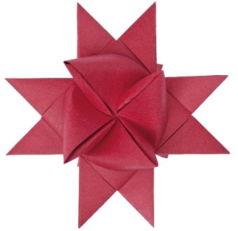 Fröbelsterne bordeaux