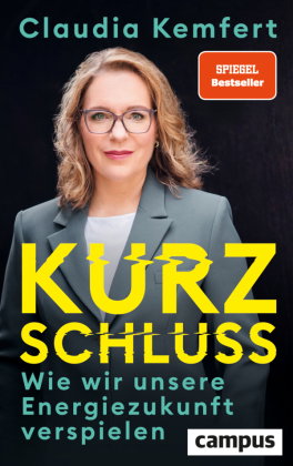 Kurzschluss