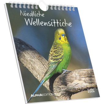 Alpha Edition - Niedliche Wellensittiche Kalender 2026 - Postkartenkalender 16×17 cm mit 12 Vogelmot