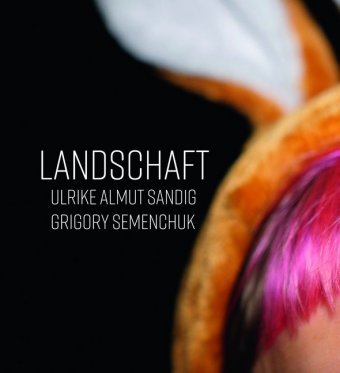 Landschaft, Audio-CD