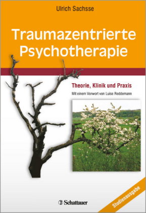 Traumazentrierte Psychotherapie