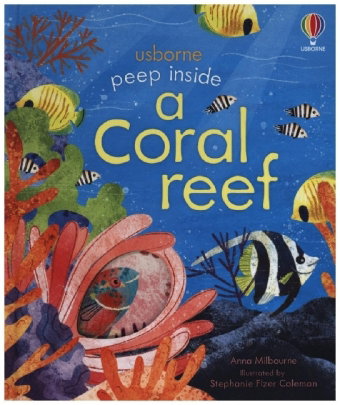 Peep inside a Coral Reef