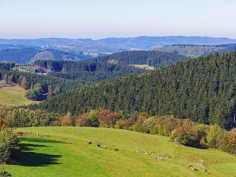 Sauerland - 200 Teile (Puzzle)