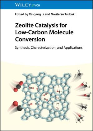 Zeolite Catalysis for Low-Carbon Molecule Conversion