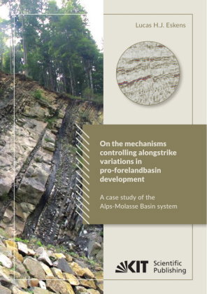 On the mechanisms controlling along-strike variations in pro-foreland basin development: a case stud