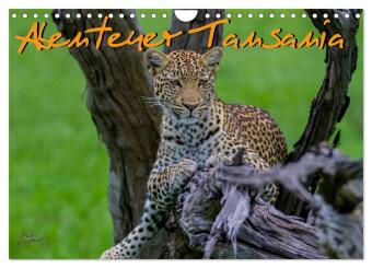 Abenteuer Tansania, Afrika (Wandkalender 2024 DIN A4 quer), CALVENDO Monatskalender