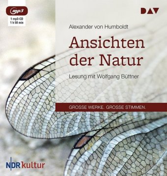 Die Südamerika-Reise, 1 Audio-CD, 1 MP3