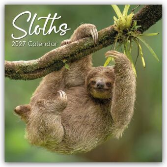 Sloths - Faultiere 2027 - 16-Monatskalender