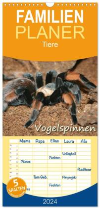 Familienplaner 2024 - Vogelspinnen mit 5 Spalten (Wandkalender, 21 x 45 cm) CALVENDO