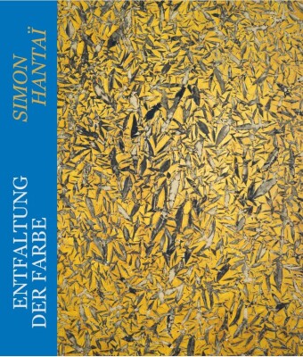 Entfaltung der Farbe - Simon Hantaï