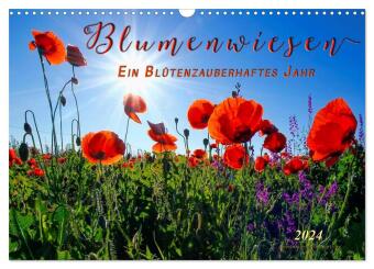 Blumenwiesen - ein blütenzauberhaftes Jahr (Wandkalender 2024 DIN A3 quer), CALVENDO Monatskalender