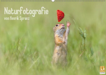 Naturfotografie (Wandkalender 2019 DIN A2 quer)