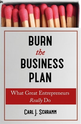 Burn the Business Plan