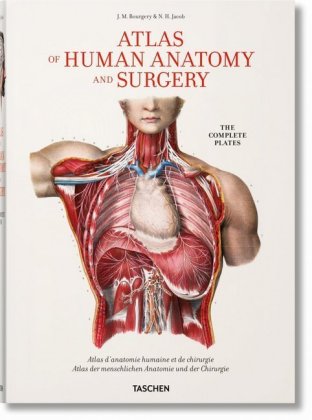 Atlas of Human Anatomy and Surgery / Atlas d' anatomie humaine et de Chirurgie / Atlas der menschlic