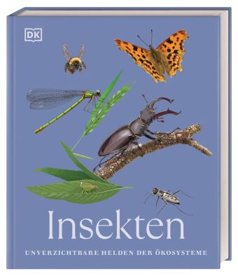 Insekten