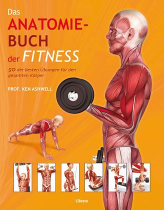 Das Anatomie-Buch der Fitness