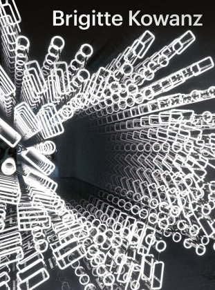 Brigitte Kowanz - Light is what we see