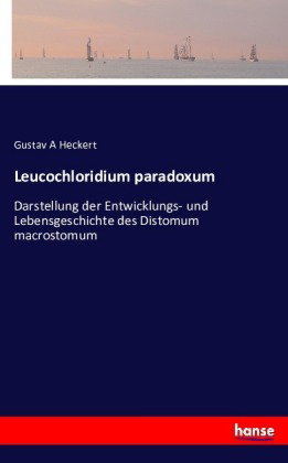 Leucochloridium paradoxum