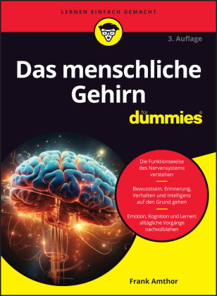Das menschliche Gehirn für Dummies