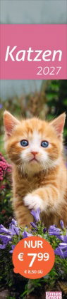times&more Katzen Langplaner 2027