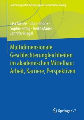 Multidimensionale Geschlechterungleichheiten im akademischen Mittelbau: Arbeit, Karriere, Perspektiv