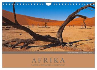Afrika Impressionen. NAMIBIA - SÜDAFRIKA - BOTSWANA (Wandkalender 2024 DIN A4 quer), CALVENDO Monats