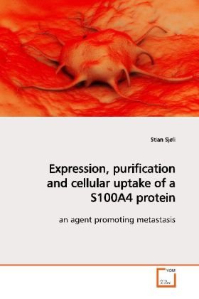 Expression, purification and cellular uptake of a S100A4 protein
