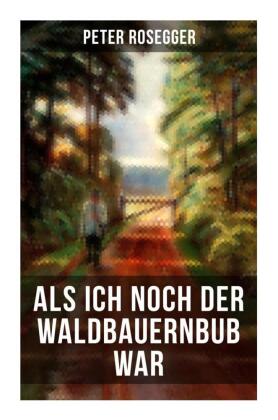 Als ich noch der Waldbauernbub war