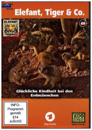 Elefant, Tiger & Co. - Glückliche Kindheit bei den Erdmännchen, 2 DVDs