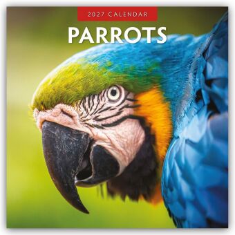 Parrots - Papageien 2027 - 16-Monatskalender
