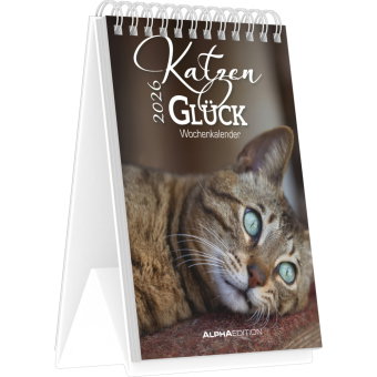 Alpha Edition - Katzenglück 2026 - Tischkalender 10,5×14,8 cm mit 53 Katzenmotiven & Sprüchen, dekor