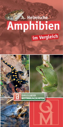 Heimische Amphibien im Vergleich, Bestimmungskarten