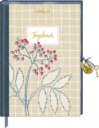 Tagebuch mit Schloss