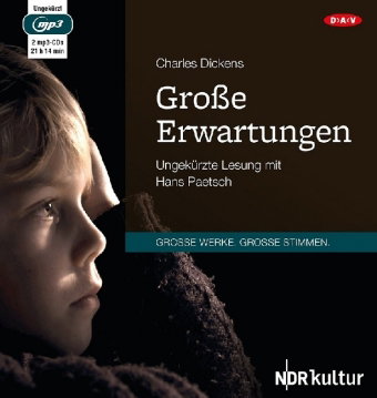 Große Erwartungen, 2 Audio-CD, 2 MP3