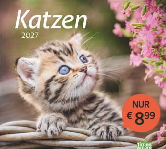times&more Katzen Bildkalender 2027