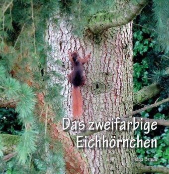 Das zweifarbige Eichhörnchen