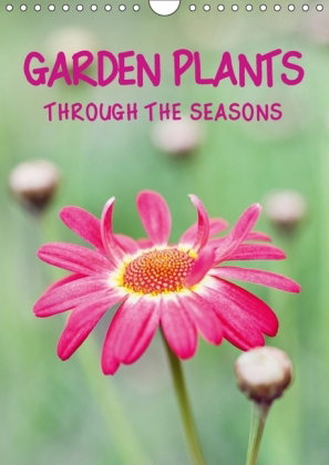 GARDEN PLANTS THROUGH THE SEASONS (Wall Calendar 2018 DIN A4 Portrait)