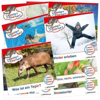 Paket - Lesestart mit Eberhart, Lesestufe 3 Komplettbezug: Heft 21 bis 30, 10 Teile