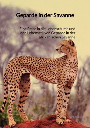 Geparden in der Savanne