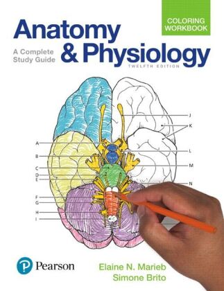 Anatomy and Physiology Coloring Workbook: A Complete Study Guide
