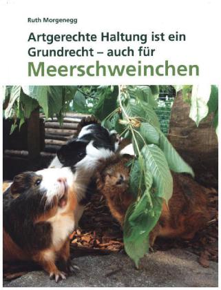 Artgerechte Haltung ist ein Grundrecht - auch für Meerschweinchen