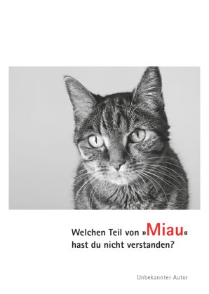 Postkarten Katzen Miau (VE10)