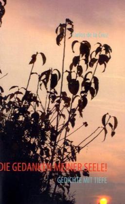 DIE GEDANKEN MEINER SEELE!