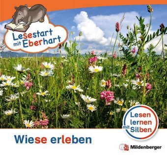 Wiese erleben