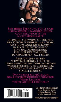 Die Ausbildung zur Büro-Sklavin | Erotischer SM-Roman