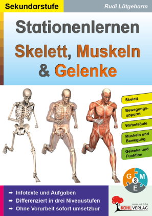 Stationenlernen Skelette, Muskeln und Gelenke