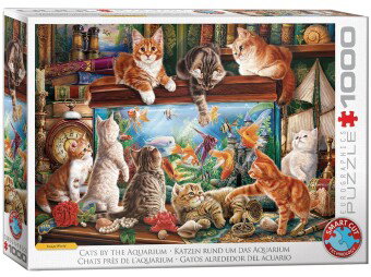 Katzen am Aquarium