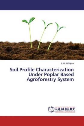 Soil Profile Characterization Under Poplar Based Agroforestry System